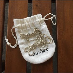 Pandora Essence Necklace